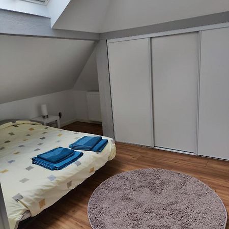 Chez Mamie Apartment Metz Bagian luar foto