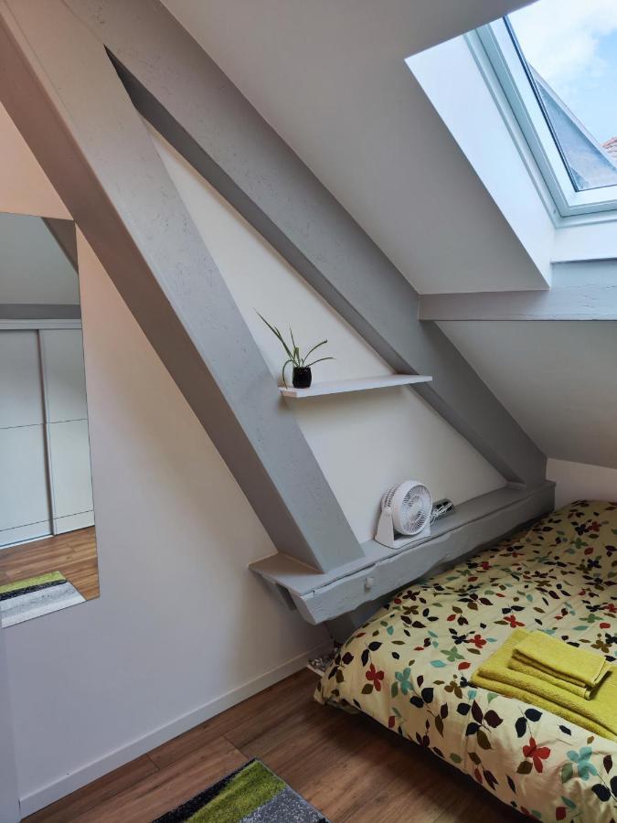 Chez Mamie Apartment Metz Bagian luar foto