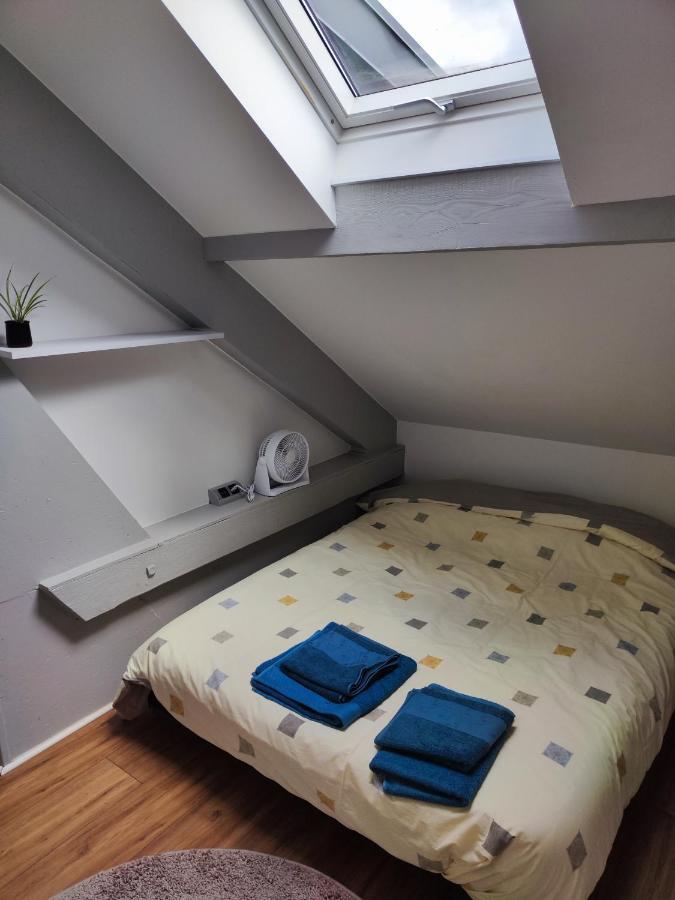 Chez Mamie Apartment Metz Bagian luar foto