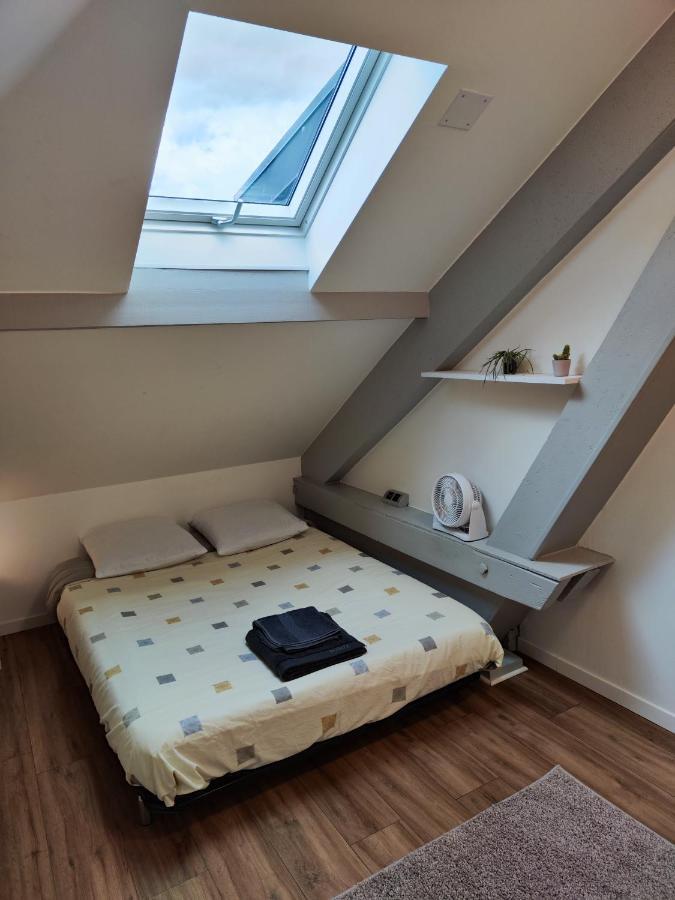Chez Mamie Apartment Metz Bagian luar foto